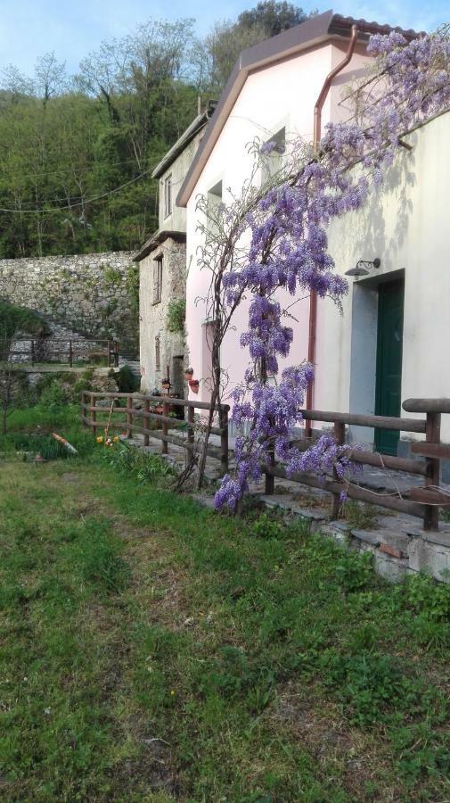 Ca Di Gatti Apartment Ne Exterior foto